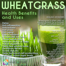 DREE'S ORGANIC WHEATGRASS 1lb. Locally only sold through Truly Living Well Farm